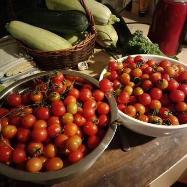 La imagen muestra una encimera de cocina con dos cuencos de tomates cherry, una cesta de calabacines y otras verduras, en una escena culinaria vibrante y acogedora.