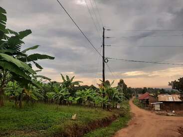A rural scene with a dirt road, banana plants, scattered houses, a chicken, utility pole with wires, cloudy sky, and distant trees during early evening.