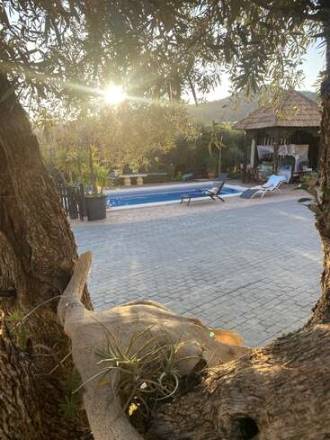 Das Bild zeigt eine ruhige Oase im Garten mit einem Pool, Liegestühlen und einem Pavillon, umgeben von üppigen Bäumen und Pflanzen, mit der Sonne im Hintergrund.