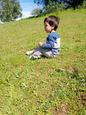 A young child sits on a grassy hill, surrounded by small purple flowers, enjoying a peaceful, sunny day outdoors under a bright blue sky.