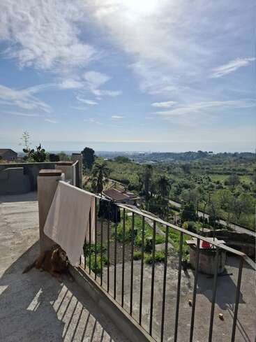 A sunny terrace with a towel draped over the railing, a brown dog resting in the shade. Green landscape and distant sea view under blue sky.