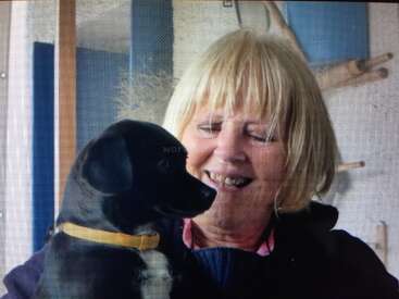 The image depicts a woman with blonde hair and a black dog with a yellow collar, both gazing at each other in a warm and affectionate moment.