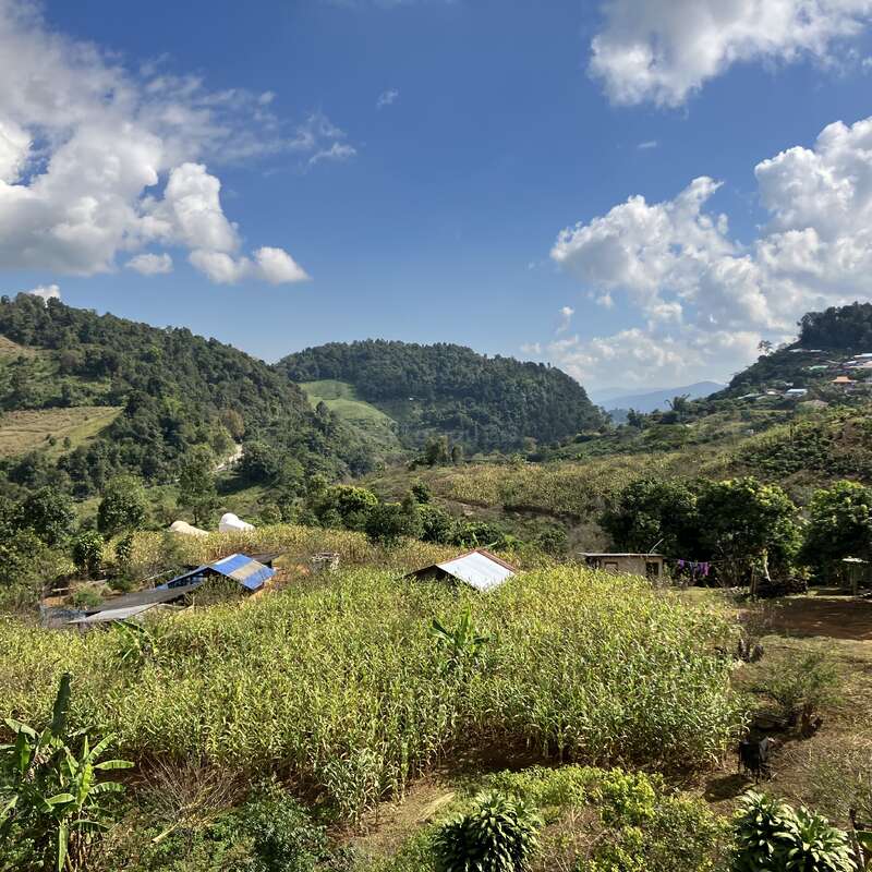 Green hills surround a rural landscape with cornfields, scattered small houses, and lush trees under a bright blue sky filled with fluffy white clouds. Peaceful scenery.