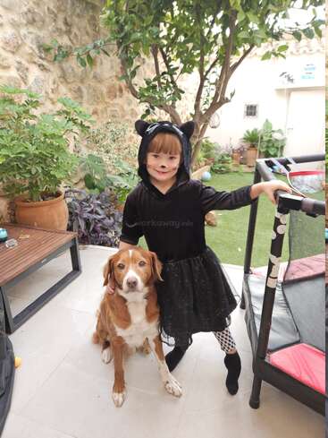 The image depicts a young girl dressed as a cat, posing with a dog in a backyard setting, surrounded by lush greenery and a trampoline.
