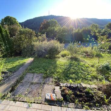 Die Sonne geht hinter einem bewaldeten Hügel auf und wirft Licht auf einen üppigen, grünen Garten mit Büschen, einem Gehweg und einem kleinen Paket davor.