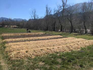 Esta imagen muestra un pequeño campo con varios parterres cubiertos de mantillo bajo un cielo despejado. A lo lejos se ve a una persona trabajando, rodeada de árboles desnudos y montañas.