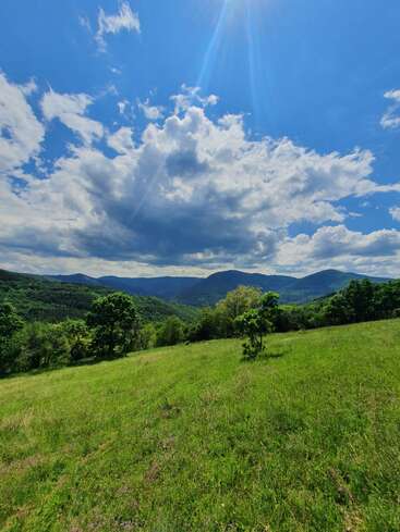 Um campo verdejante se estende em direção às montanhas azuis ao longe, salpicado de árvores sob um céu parcialmente nublado. A luz do sol incide sobre o local, criando uma cena tranquila e vibrante.