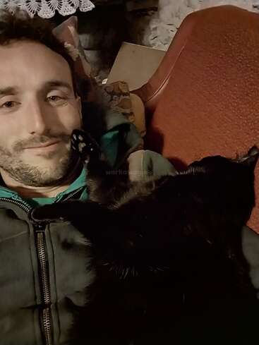 The image shows a man with short dark hair and a beard, wearing a green shirt and black jacket, sitting on a brown chair with a black cat on his shoulder.