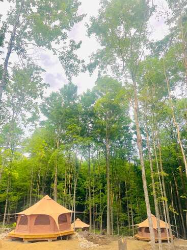 Hay tres tiendas de campaña de color marrón claro instaladas sobre plataformas de madera en un frondoso bosque verde. La zona está rodeada de altos árboles, lo que crea un entorno de acampada tranquilo y natural.