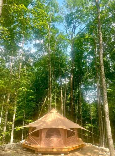 Una tienda de glamping redonda se encuentra sobre una plataforma de madera en un frondoso bosque, rodeada de altos árboles verdes bajo un cielo azul brillante y un sol radiante.