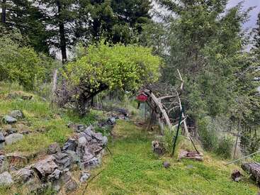 Um caminho sinuoso em meio a um jardim exuberante passa por baixo de uma árvore frondosa e arqueada. Pedras e vegetação margeiam o caminho, com uma casinha de pássaros vermelha pendurada nesse cenário tranquilo.