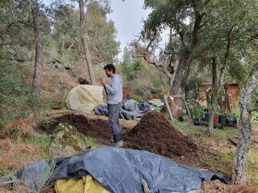A man stands outdoors in a forested area, surrounded by piles of soil or mulch, tarps, trees, and gardening supplies, suggesting a gardening or permaculture project.