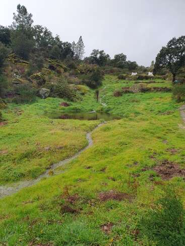 A lush green meadow with a small stream runs through the center, leading to a pond, surrounded by rocks, bushes, and distant trees under cloudy skies.