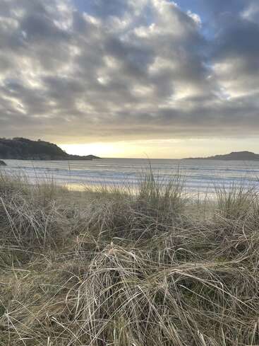 La luz dorada del sol ilumina suavemente las nubes y el océano, proyectando un tranquilo resplandor. Las altas hierbas se mecen con la brisa, enmarcando el apacible paisaje costero y las lejanas colinas.