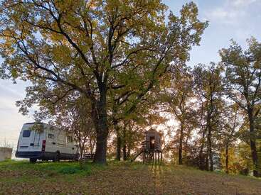 A white camper van is parked under tall leafy trees. Nearby, a wooden treehouse on stilts catches warm sunlight. The setting feels peaceful and natural.