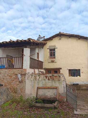A person is working on the roof of a rustic, countryside house. Two dogs observe from the balcony, surrounded by a stone wall and autumn leaves.