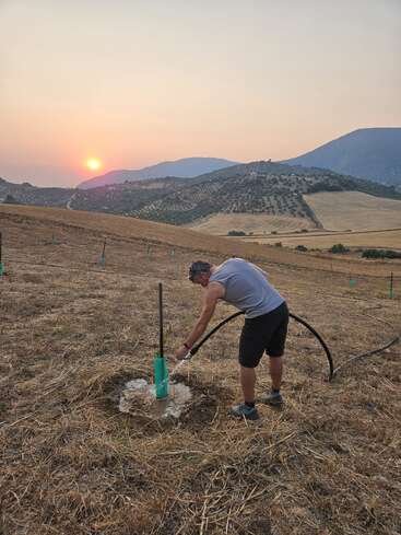 Uma pessoa rega plantas jovens em um campo seco ao pôr do sol, cercado por colinas e montanhas, criando uma cena rural tranquila com bela iluminação natural.