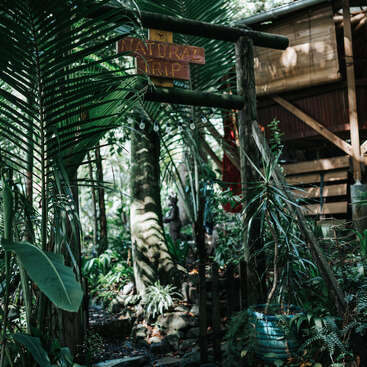 Lush tropical greenery surrounds a rustic wooden cabin. A wooden sign reads “Natural Trip.” Dense foliage, hanging string lights, and dappled sunlight create a serene, jungle-like atmosphere.