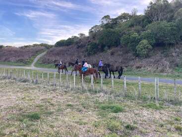 Quatre personnes montent à cheval sur une route de campagne étroite, entourée de champs herbeux et d'une colline avec des arbres, sous un ciel bleu clair avec des nuages ondulants.