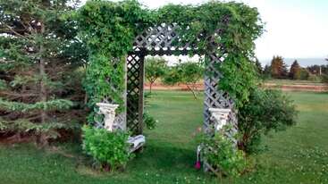 A beautiful garden arch covered in lush green vines stands on a manicured lawn, surrounded by trees and plants, with benches and decorative elements underneath.