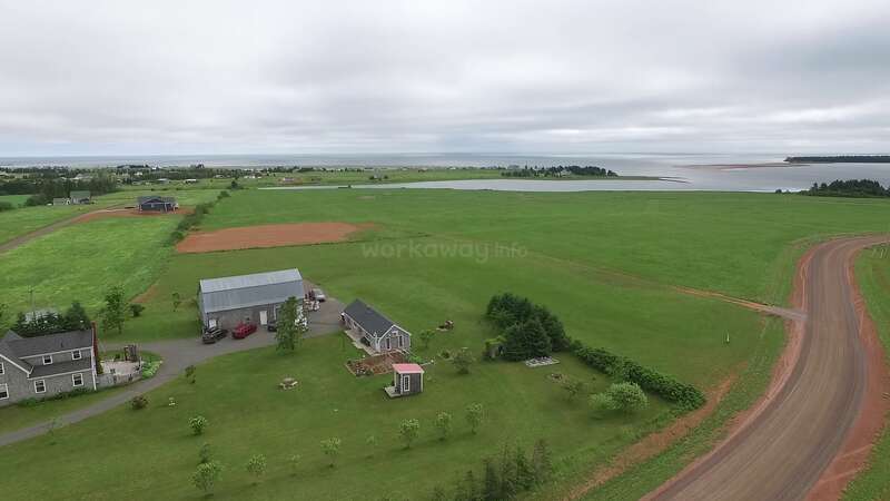 This image shows a rural landscape with a few houses, barns, green fields, a winding dirt road, and a distant body of water under a cloudy sky.