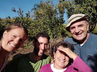 Cuatro personas sonríen y posan para hacerse un selfi al aire libre en un día soleado, rodeadas de árboles frondosos, con un cielo azul y despejado al fondo. Un momento de alegría.