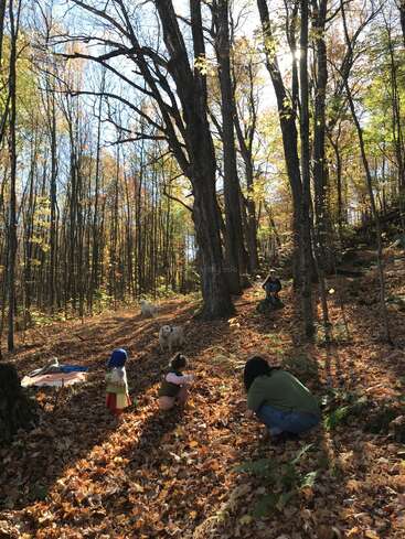 A family explores a sunlit autumn forest, children playing among fallen leaves, adults watching nearby. Two dogs roam the scene, bathed in golden, peaceful light.
