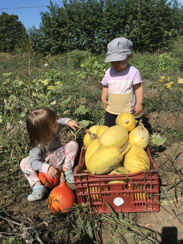 Two young children are in a garden or farm, sitting and standing near a crate filled with yellow squash and orange pumpkins, surrounded by green plants.