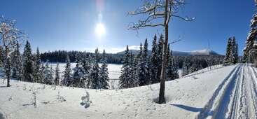 A snowy winter landscape features a bright sun, pine trees, a frozen lake, distant mountains, and ski tracks creating a serene, crisp, and peaceful atmosphere.