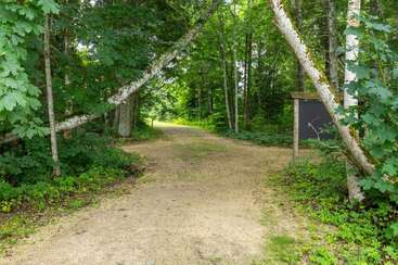 A dirt path winds through a lush green forest. Sunlight filters through the leafy trees. A wooden information board stands on the right, partially hidden.