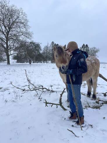 A person in winter clothing stands beside a brown horse in a snowy field, gently petting its face. Bare trees and fallen branches surround them, creating a serene scene.