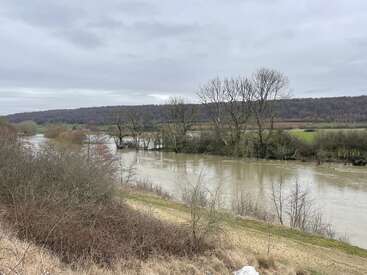 A calm river flows through a rural landscape, bordered by leafless trees and bushes under a cloudy gray sky, with rolling hills in the distance.