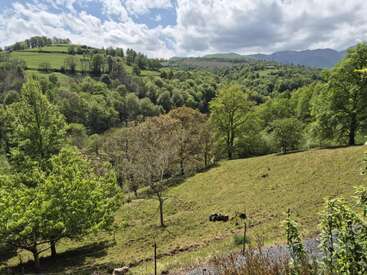 Des collines verdoyantes couvertes d'arbres luxuriants sous un ciel partiellement nuageux, la lumière du soleil projetant des ombres. Un paysage paisible et pittoresque avec des forêts, des champs et des montagnes lointaines.