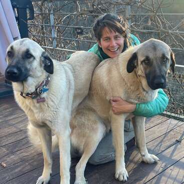 A smiling woman in a teal jacket hugs two large, light brown dogs with black faces on a wooden deck, surrounded by a bare vine-covered railing.