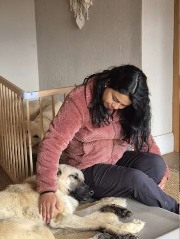 Une femme vêtue d'une veste rose caresse doucement un grand chien détendu allongé sur le sol. Un autre chien se repose derrière une barrière de sécurité pour bébé à l'arrière-plan. Une scène chaleureuse.