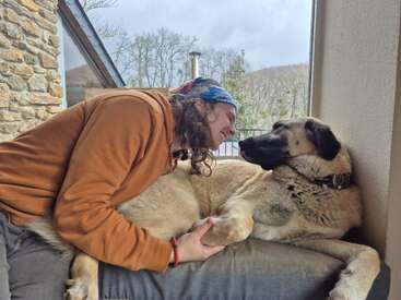 Une personne vêtue d'un sweat à capuche orange se penche et sourit affectueusement à un grand chien détendu, allongé sur un banc rembourré près d'une fenêtre offrant une vue panoramique.