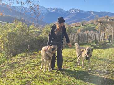 Une femme se tient dehors par une journée ensoleillée, tenant en laisse deux grands chiens. Derrière eux, les montagnes et les arbres aux couleurs automnales créent un magnifique décor.