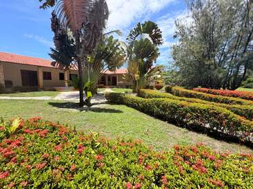 Um dia ensolarado e claro mostra um jardim tropical com sebes bem cuidadas, flores vermelhas vibrantes, palmeiras e um prédio com telhado vermelho ao fundo.