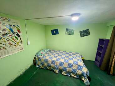 Cette chambre a des murs verts, un lit simple recouvert d'une couette à carreaux bleus, des posters d'oiseaux, une étagère violette, de la moquette verte et un plafonnier.