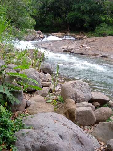 Um rio cristalino corre por entre rochas e pedregulhos, cercado por plantas e árvores de um verde exuberante, criando um cenário ao ar livre tranquilo, natural e revigorante.