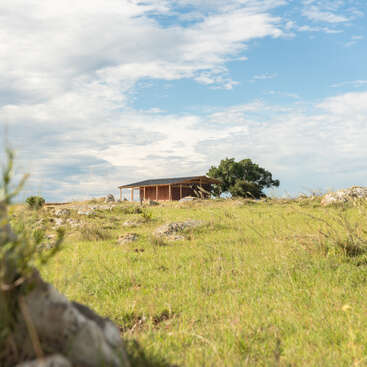 A solitary wooden house sits on a grassy hillside under a bright blue sky with scattered clouds, surrounded by rocks and a single large green tree.