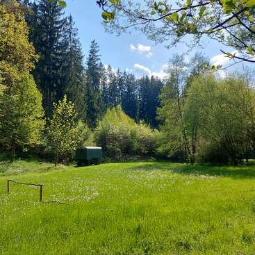 L'image représente un champ herbeux serein avec des arbres en arrière-plan, avec une petite structure verte au loin, baignée par la lumière du soleil par temps clair.