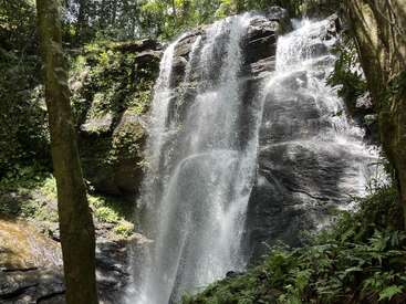 A picturesque waterfall cascades down dark rocks surrounded by lush green foliage, sunlight filtering through the trees, creating a serene and refreshing natural scene.