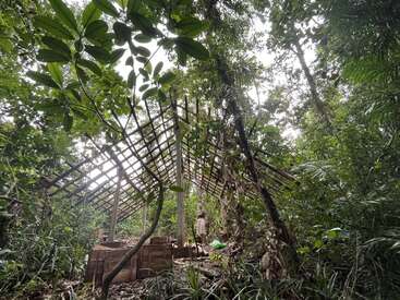 A partially built wooden structure stands in the middle of a dense green jungle. Sunlight filters through the trees. A person is working inside.