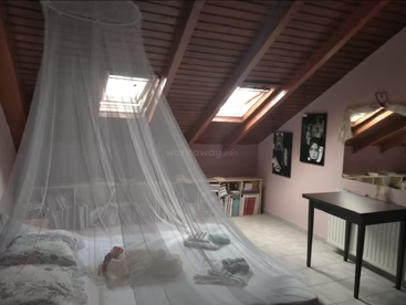 Dieses gemütliche Schlafzimmer im Dachgeschoss verfügt über ein großes Bett mit einem luftigen Baldachin, eine schräge Holzdecke, Dachfenster, Bücherregale, gerahmte Bilder, einen schwarzen Schreibtisch und Zierkissen.