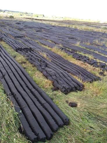De longues rangées de tourbe fraîchement coupée sont disposées sur un champ herbeux, où elles sèchent à l'air libre, probablement dans un paysage rural ou champêtre.