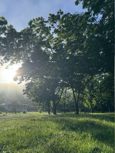 Das Bild zeigt eine ruhige Landschaft mit einer grasbewachsenen Wiese, Bäumen und einem Haus in der Ferne, das in Sonnenlicht getaucht ist und vor einem klaren blauen Himmel steht.
