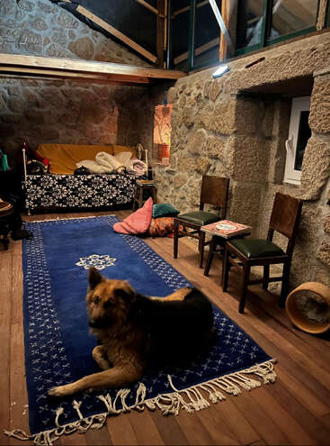 A cozy stone-walled room with wooden beams, a blue patterned rug, comfy chairs, colorful cushions, a patterned sofa, and a German shepherd dog lying contentedly.