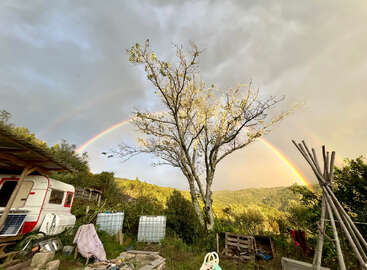 A vibrant rainbow arcs across a cloudy sky above a rural scene with a barren tree, camper, scattered objects, lush greenery, and soft, golden sunlight.
