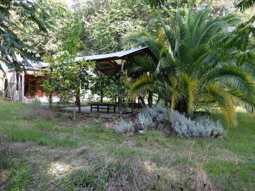The image depicts a serene outdoor setting with a wooden structure featuring a corrugated metal roof, surrounded by lush trees and plants, exuding a natural and peaceful ambiance.